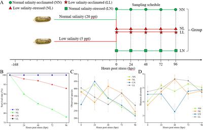 Effect of alternating salinity stress on the gut microbiota of razor clam Sinonovacula constricta